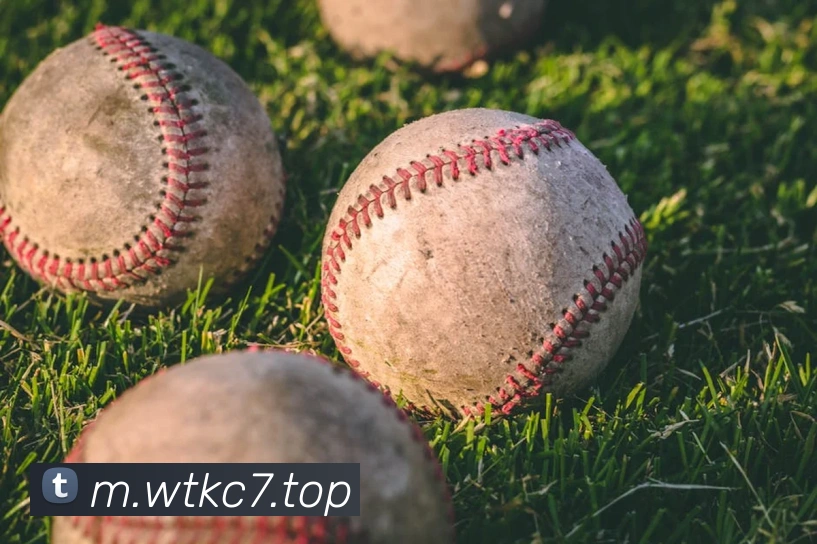 c7娱乐平台生态图